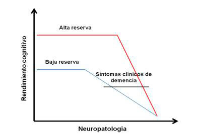 (Fig.20) Esquema relatiu de la reserva cognitiva de les persones amb Alzheimer